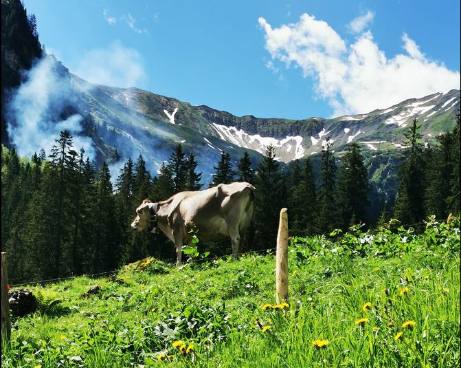 Landschaftsbid vom Allgäu. Das Allgäu ist die südliche Grenze Bayerns.